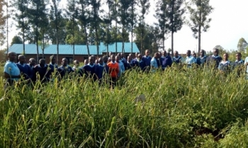 Technical and Applied Department
